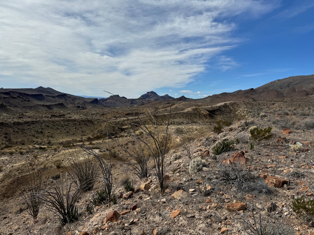 1273 Private Rd, Terlingua, Texas image 3