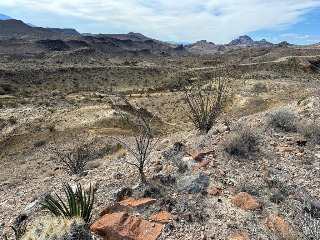 1273 Private Rd, Terlingua, Texas image 12