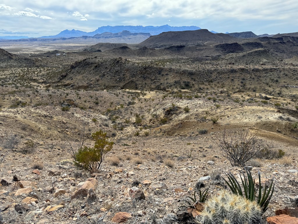 1273 Private Rd, Terlingua, Texas image 11