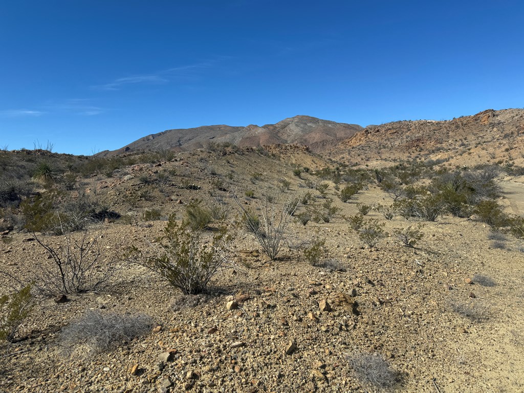 1273 Private Rd, Terlingua, Texas image 25