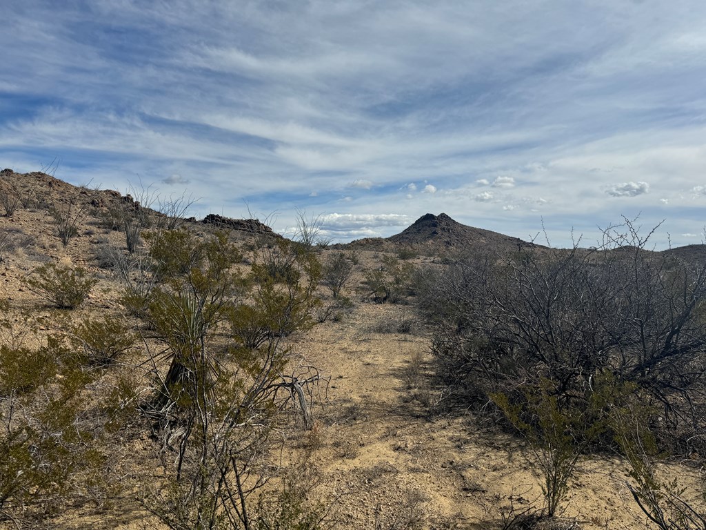 1273 Private Rd, Terlingua, Texas image 18