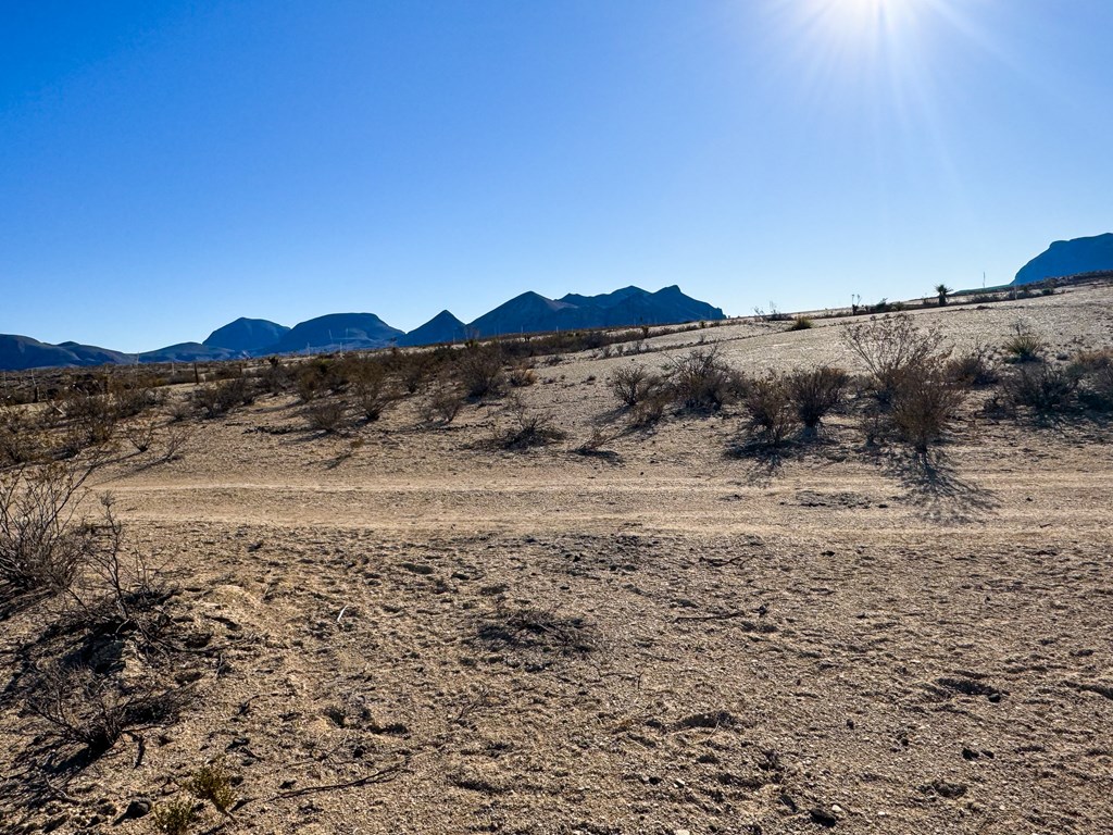 2500 Mailbox Rd, Terlingua, Texas image 5