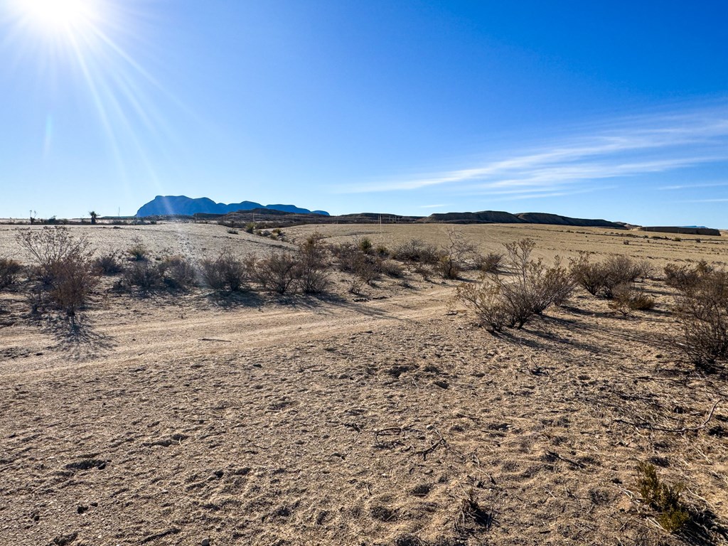 2500 Mailbox Rd, Terlingua, Texas image 4