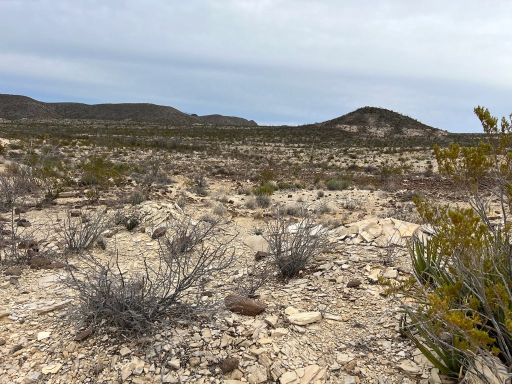 26600 Tanque Tierra, Terlingua, Texas image 3