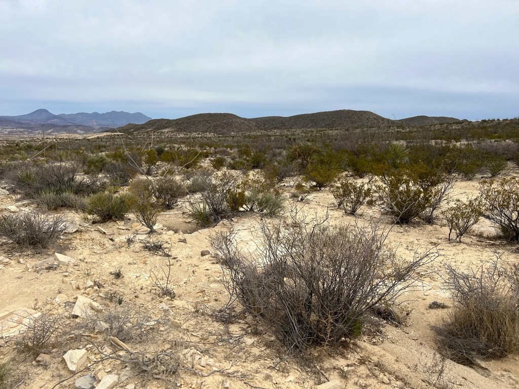 26600 Tanque Tierra, Terlingua, Texas image 6