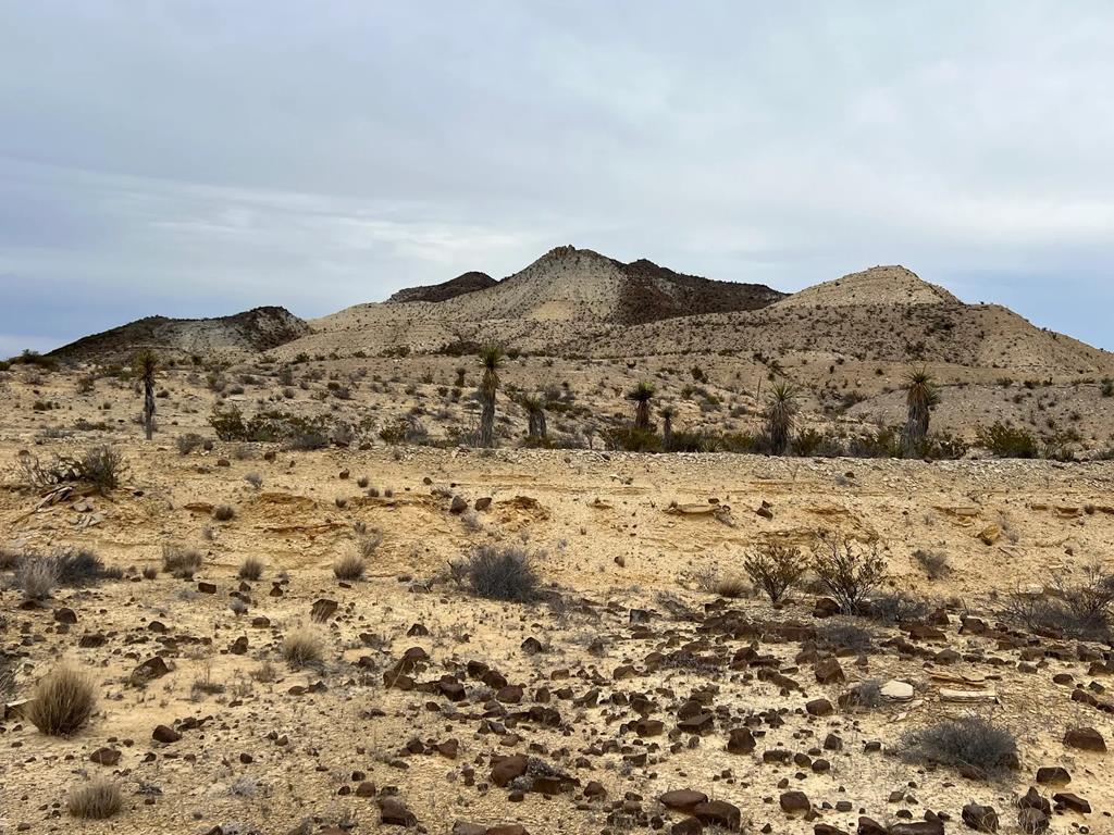 26600 Tanque Tierra, Terlingua, Texas image 2