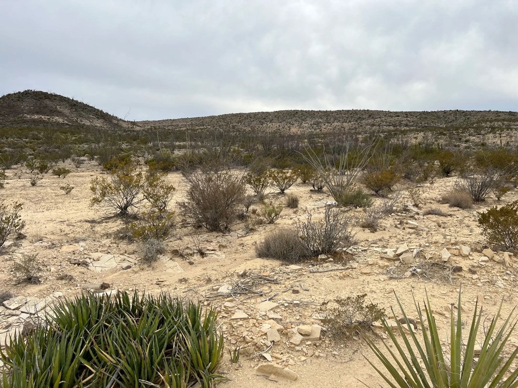 26600 Tanque Tierra, Terlingua, Texas image 4