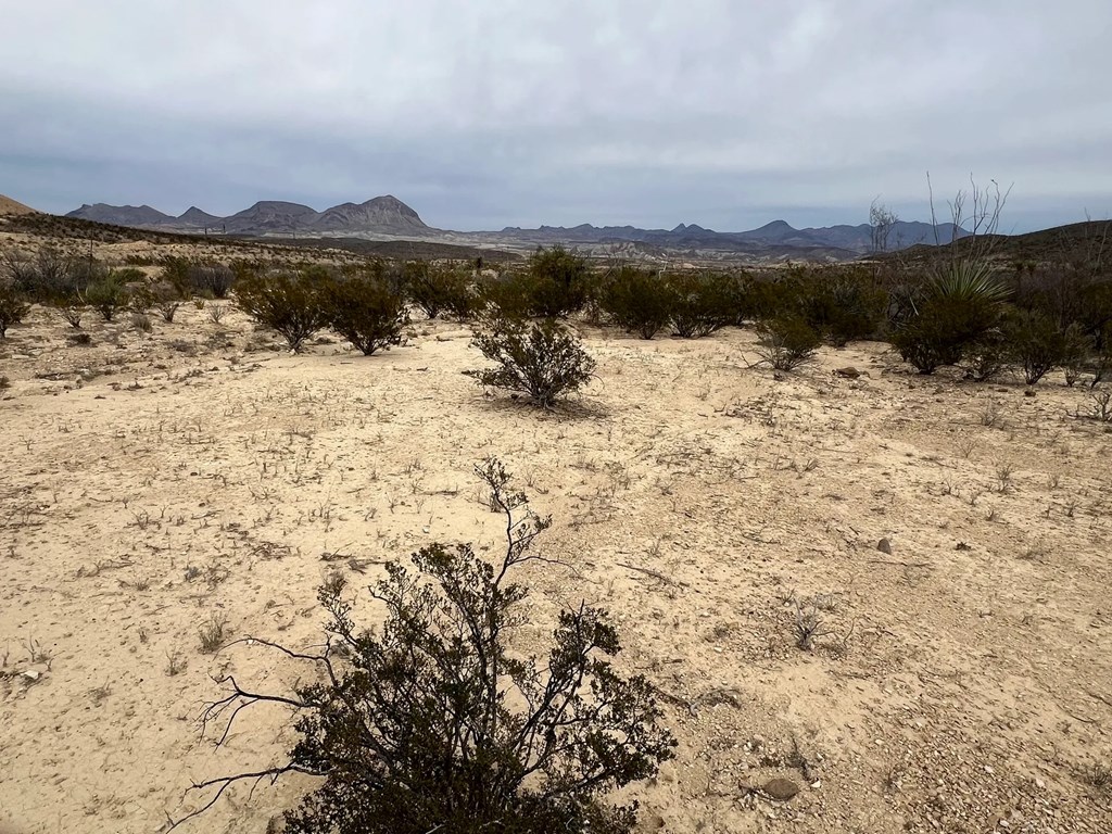 26600 Tanque Tierra, Terlingua, Texas image 5