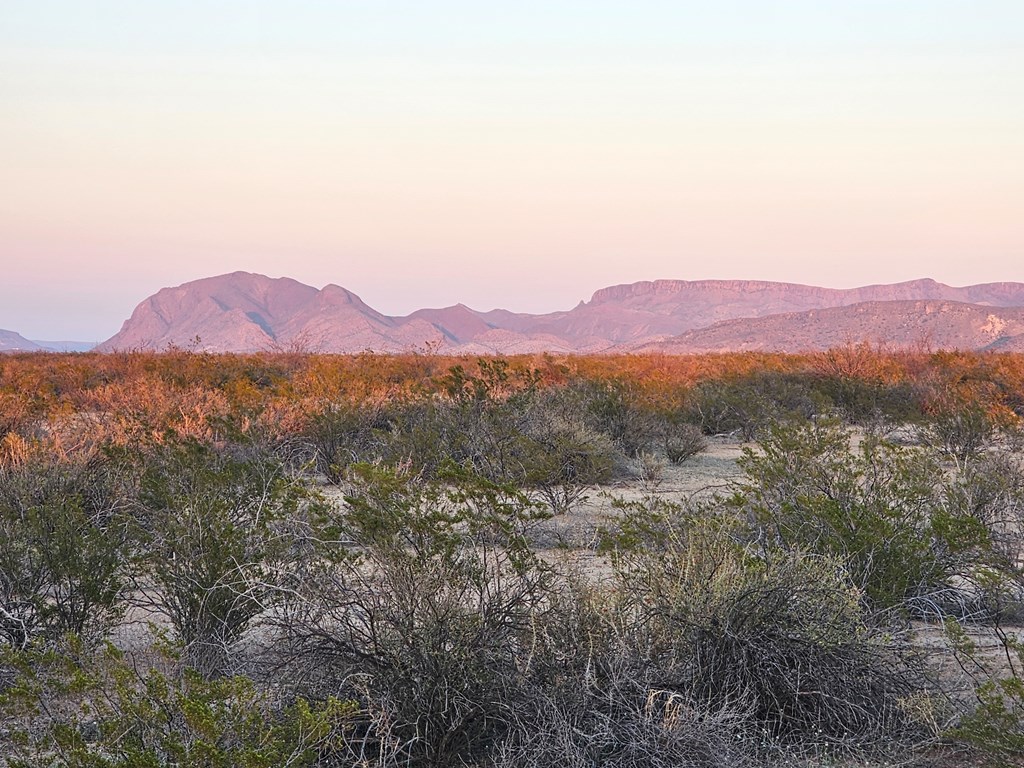 3002 E Este Road, Terlingua, Texas image 32