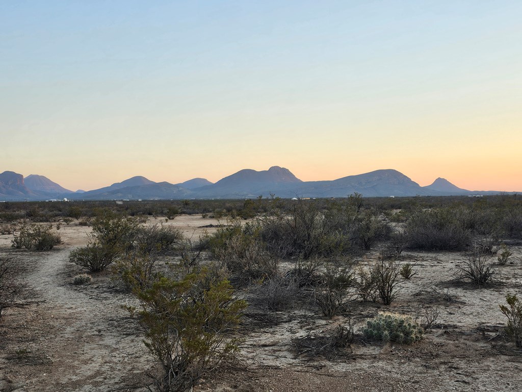 3002 E Este Road, Terlingua, Texas image 21