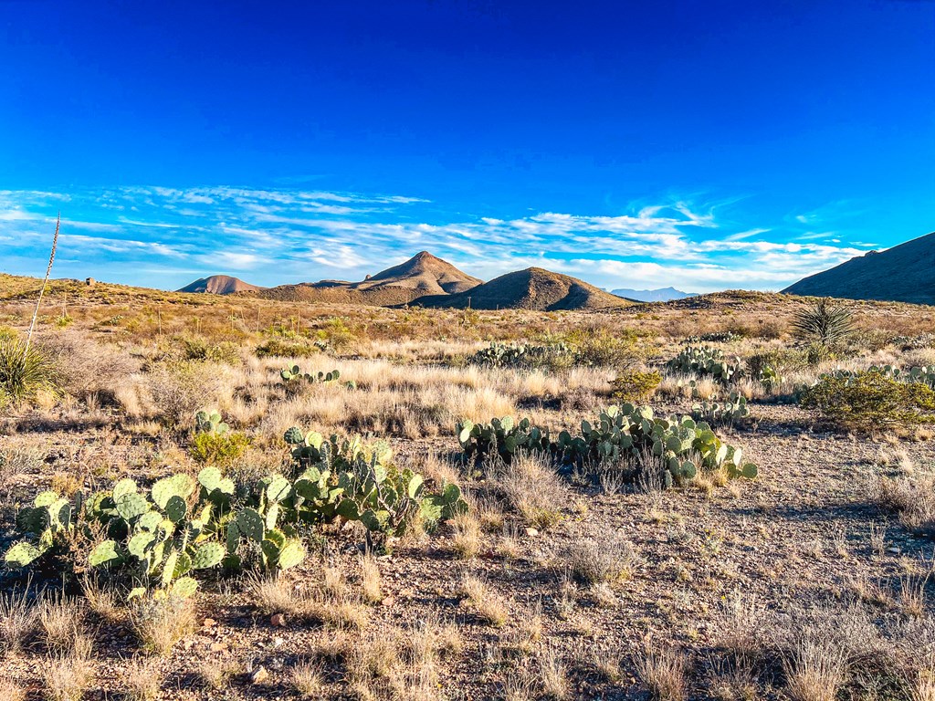 Tract 2 Lake Ament Rd, Terlingua, Texas image 27