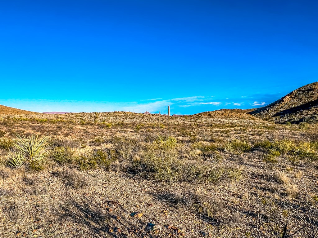 Tract 2 Lake Ament Rd, Terlingua, Texas image 19