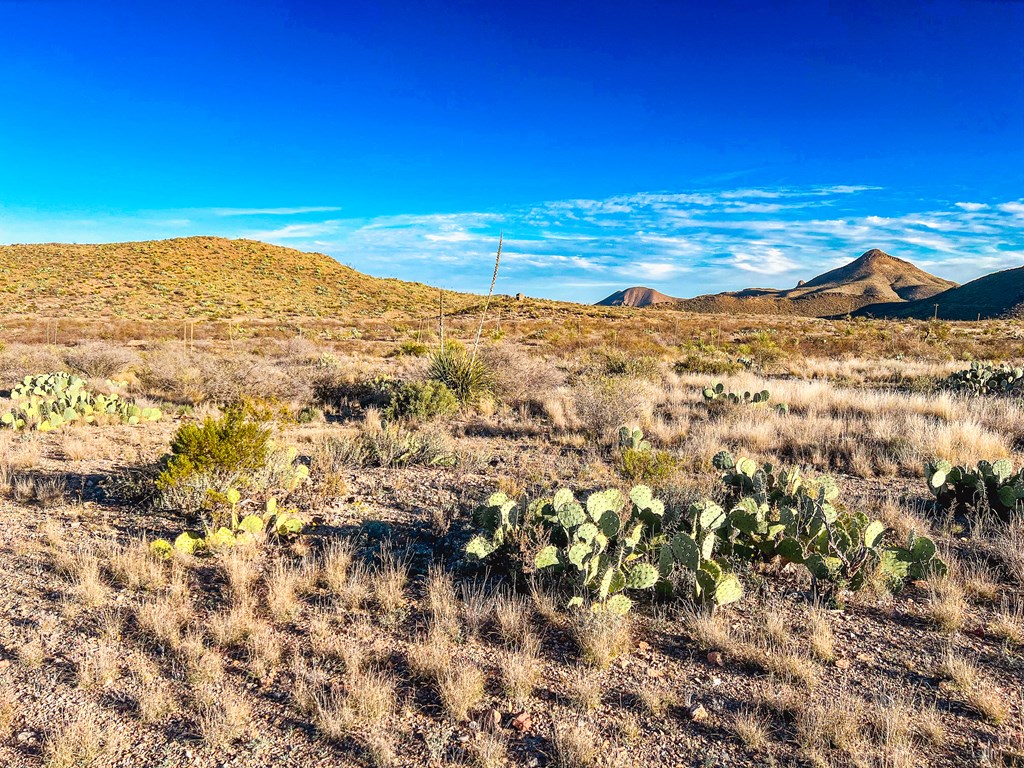 Tract 2 Lake Ament Rd, Terlingua, Texas image 9