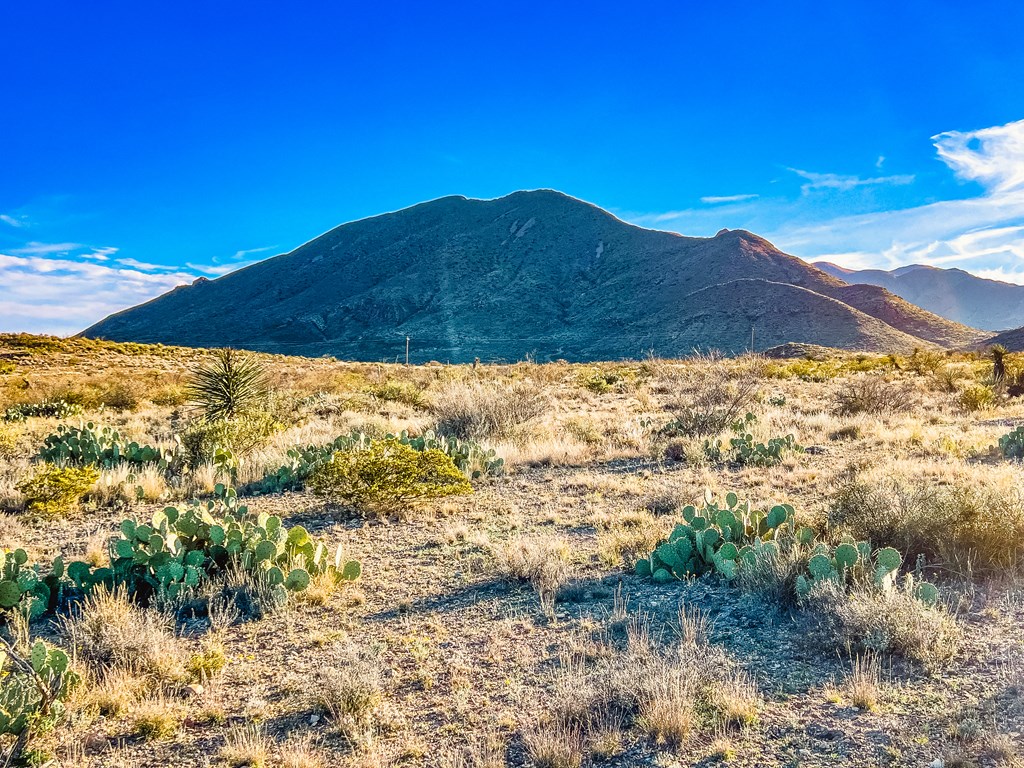 Tract 2 Lake Ament Rd, Terlingua, Texas image 22