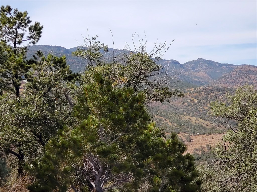 112 Apache Mountain Trail, Fort Davis, Texas image 20