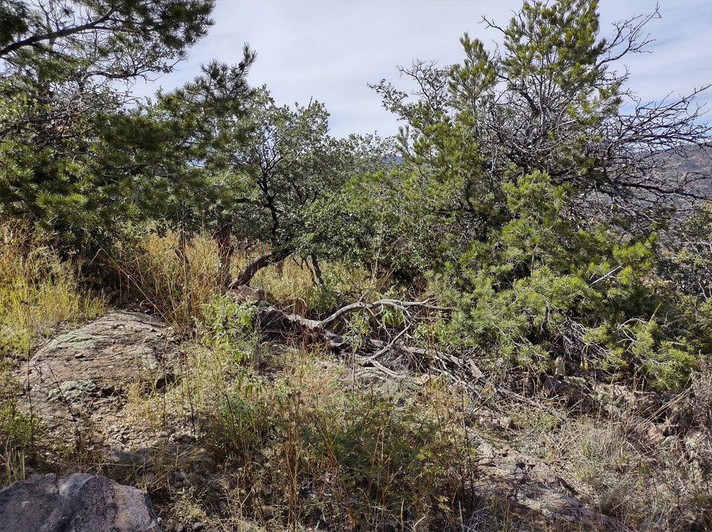 112 Apache Mountain Trail, Fort Davis, Texas image 8