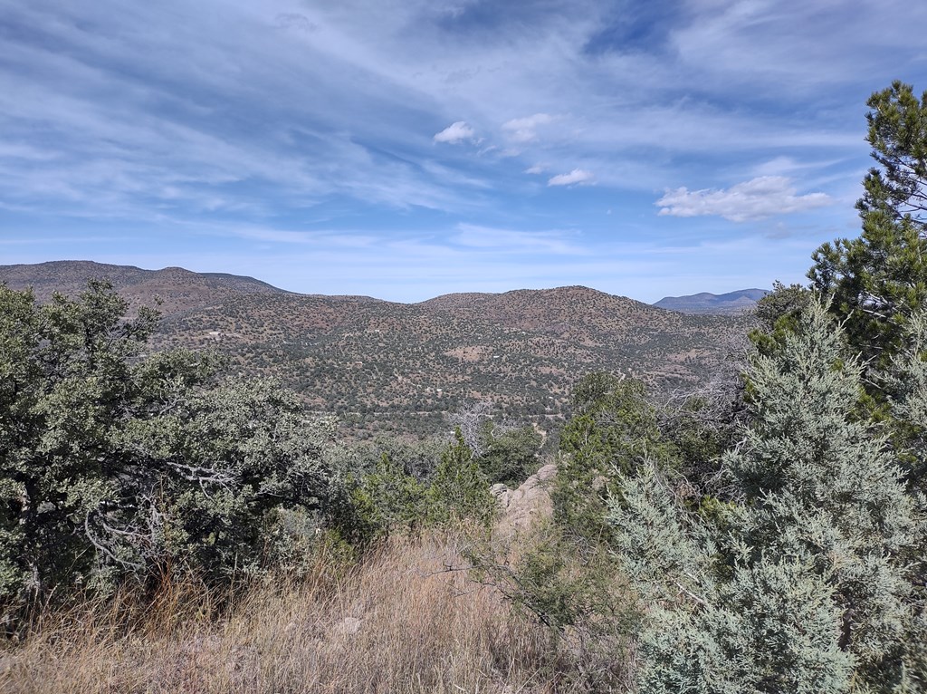 112 Apache Mountain Trail, Fort Davis, Texas image 13