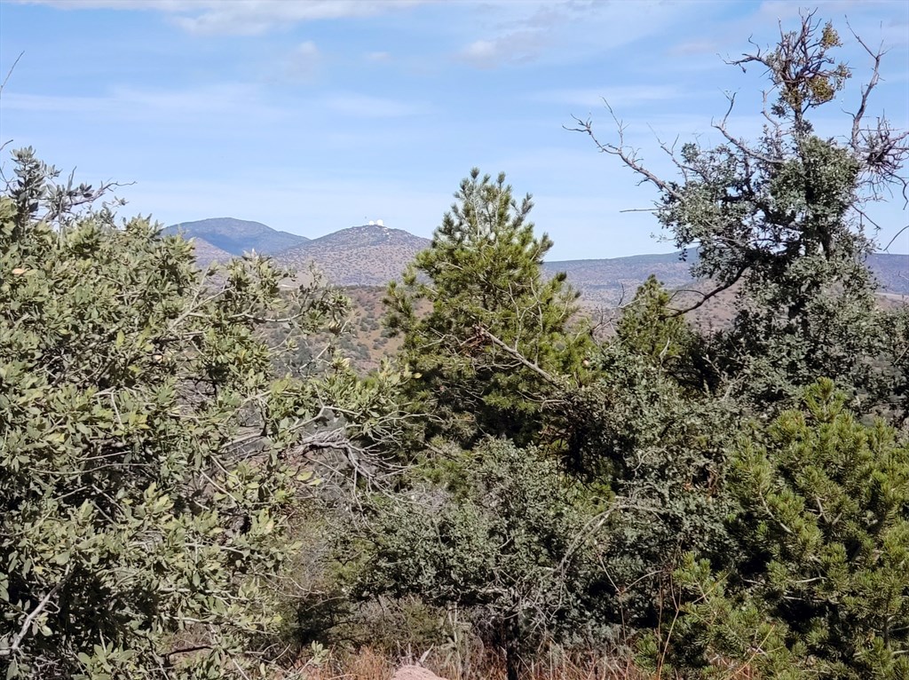 112 Apache Mountain Trail, Fort Davis, Texas image 18