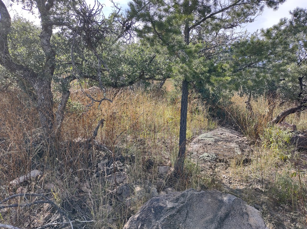 112 Apache Mountain Trail, Fort Davis, Texas image 9