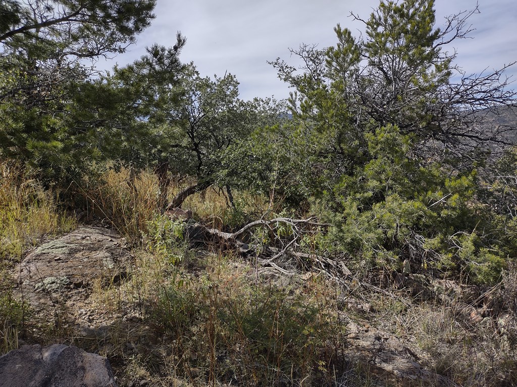 112 Apache Mountain Trail, Fort Davis, Texas image 7