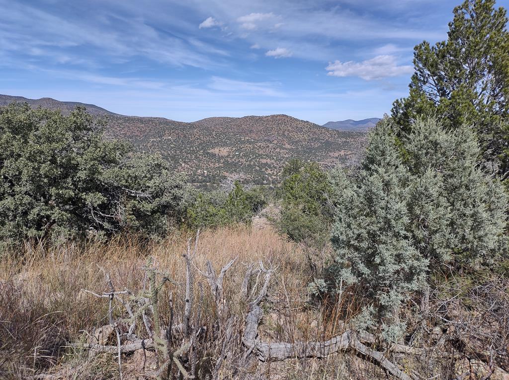 112 Apache Mountain Trail, Fort Davis, Texas image 1