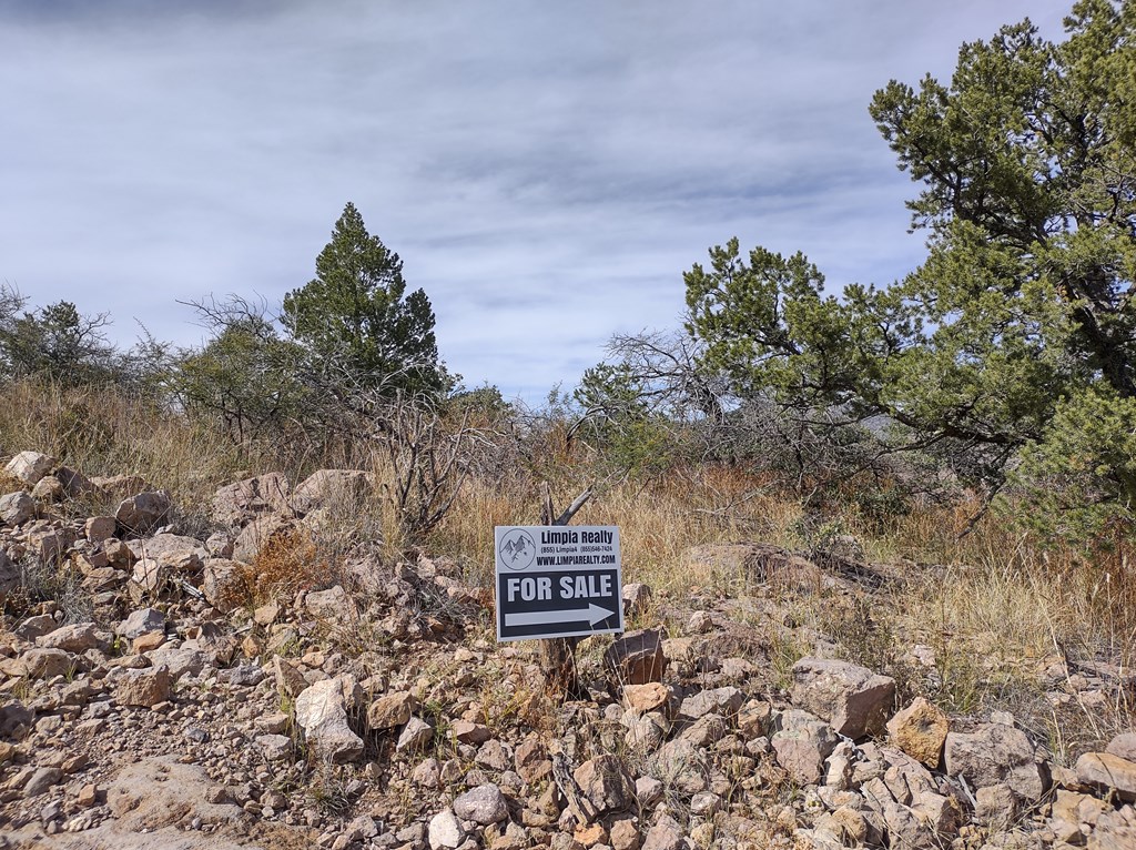 112 Apache Mountain Trail, Fort Davis, Texas image 2