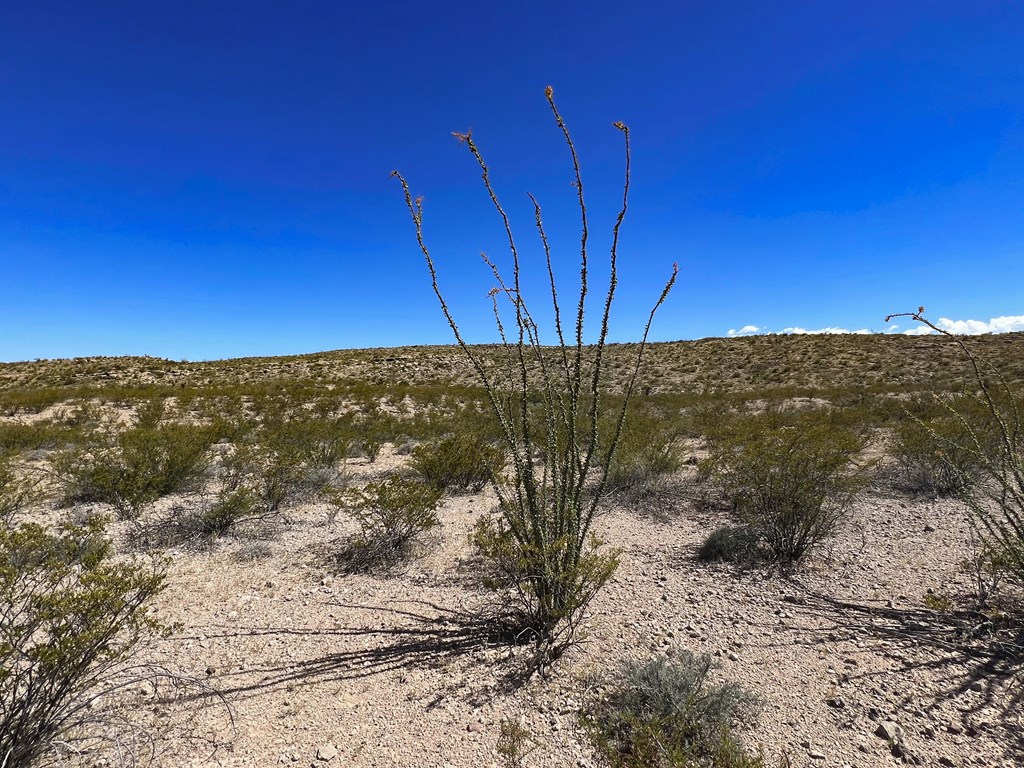 SEC 98 Pepper Rd, Terlingua, Texas image 4