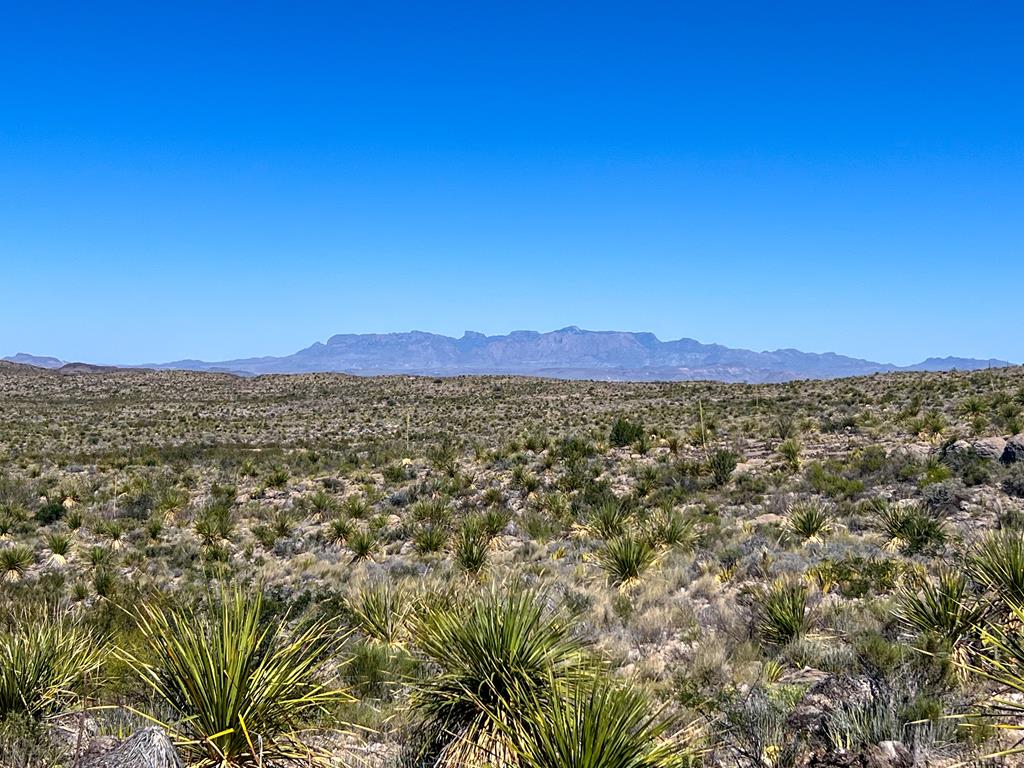 SEC 98 Pepper Rd, Terlingua, Texas image 2