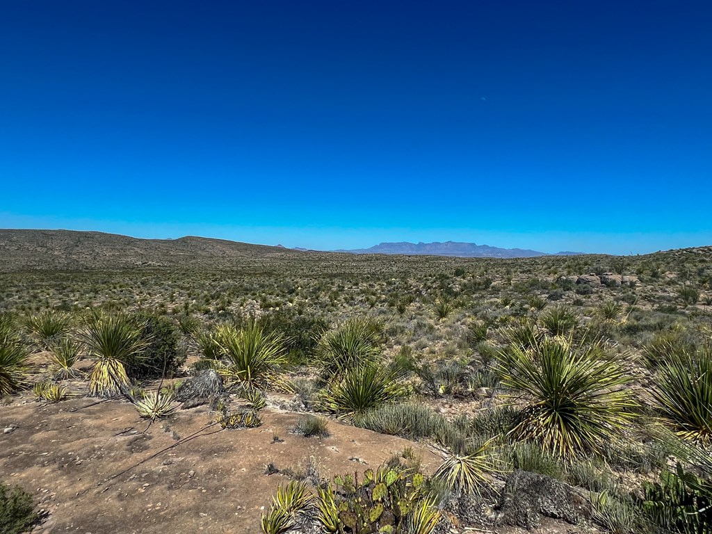 SEC 98 Pepper Rd, Terlingua, Texas image 16