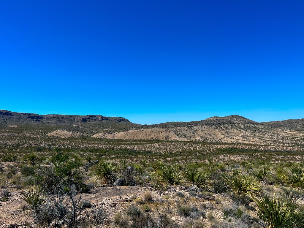 SEC 98 Pepper Rd, Terlingua, Texas image 27