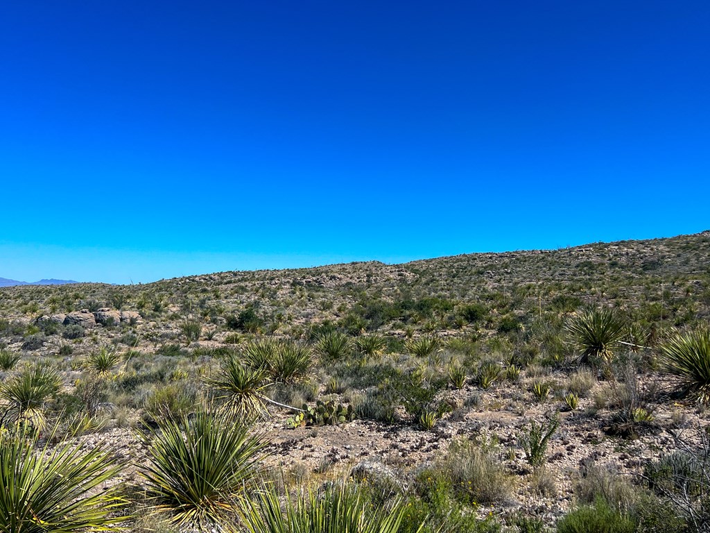 SEC 98 Pepper Rd, Terlingua, Texas image 17