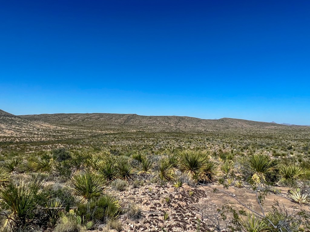 SEC 98 Pepper Rd, Terlingua, Texas image 21