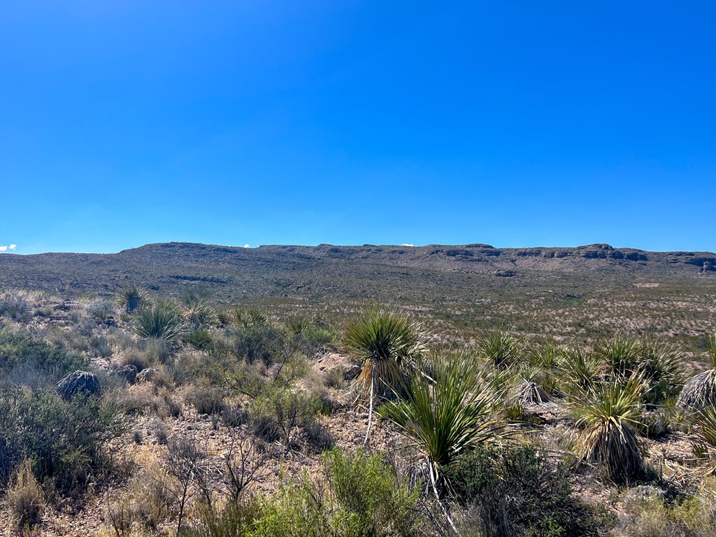 SEC 98 Pepper Rd, Terlingua, Texas image 29