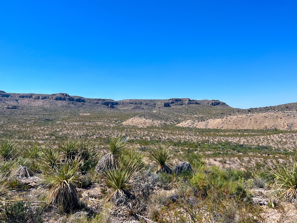 SEC 98 Pepper Rd, Terlingua, Texas image 28