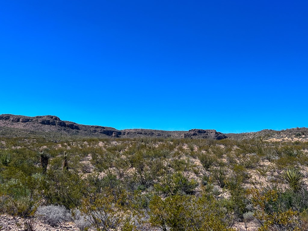 SEC 98 Pepper Rd, Terlingua, Texas image 35