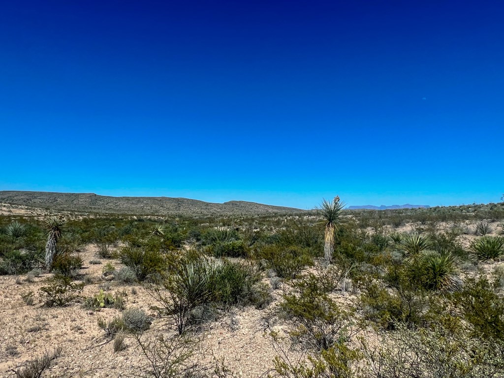 SEC 98 Pepper Rd, Terlingua, Texas image 9