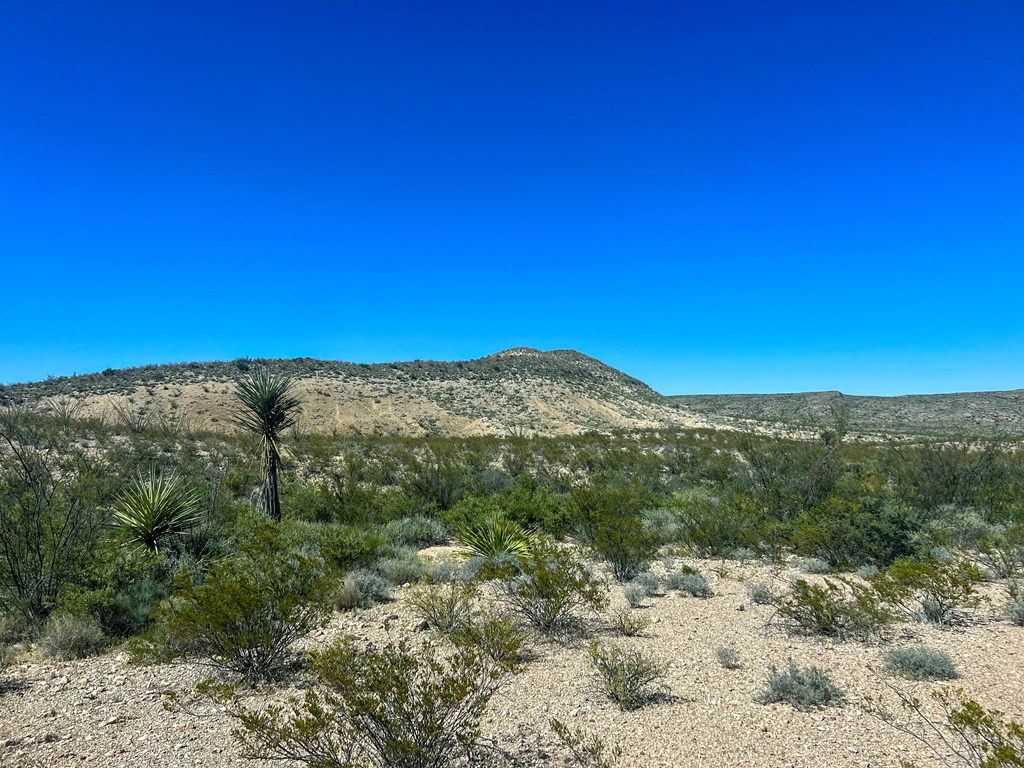 SEC 98 Pepper Rd, Terlingua, Texas image 6