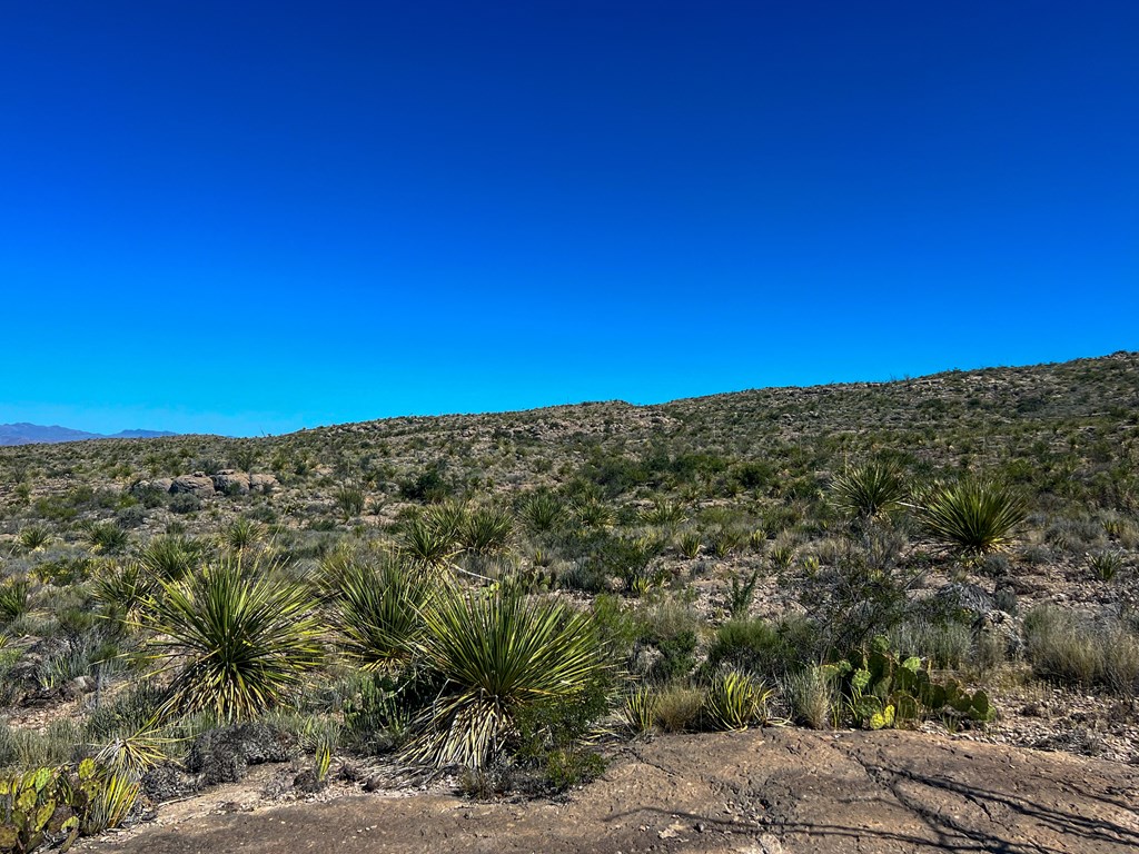 SEC 98 Pepper Rd, Terlingua, Texas image 24