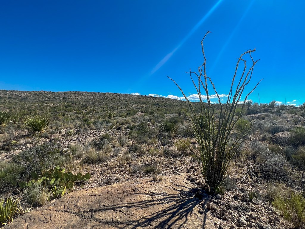 SEC 98 Pepper Rd, Terlingua, Texas image 18