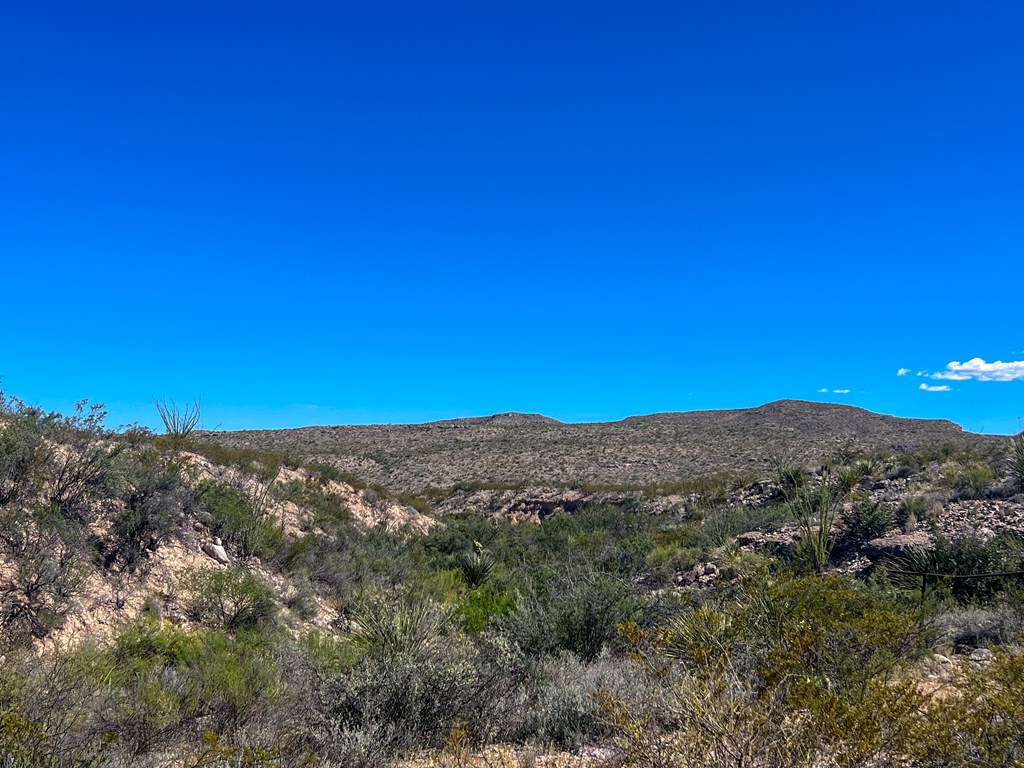 SEC 98 Pepper Rd, Terlingua, Texas image 37