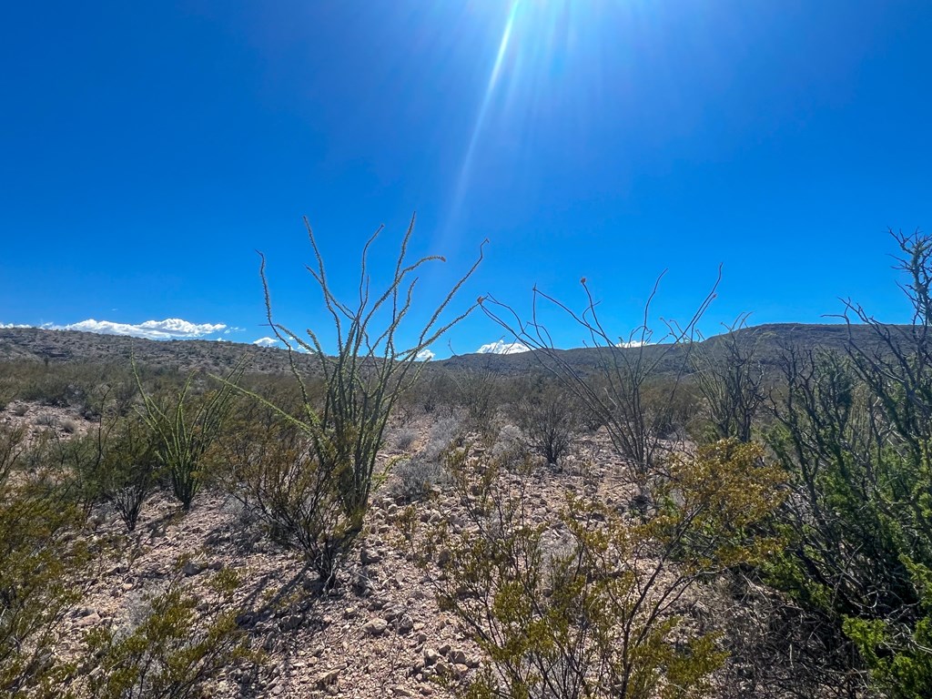 SEC 98 Pepper Rd, Terlingua, Texas image 11