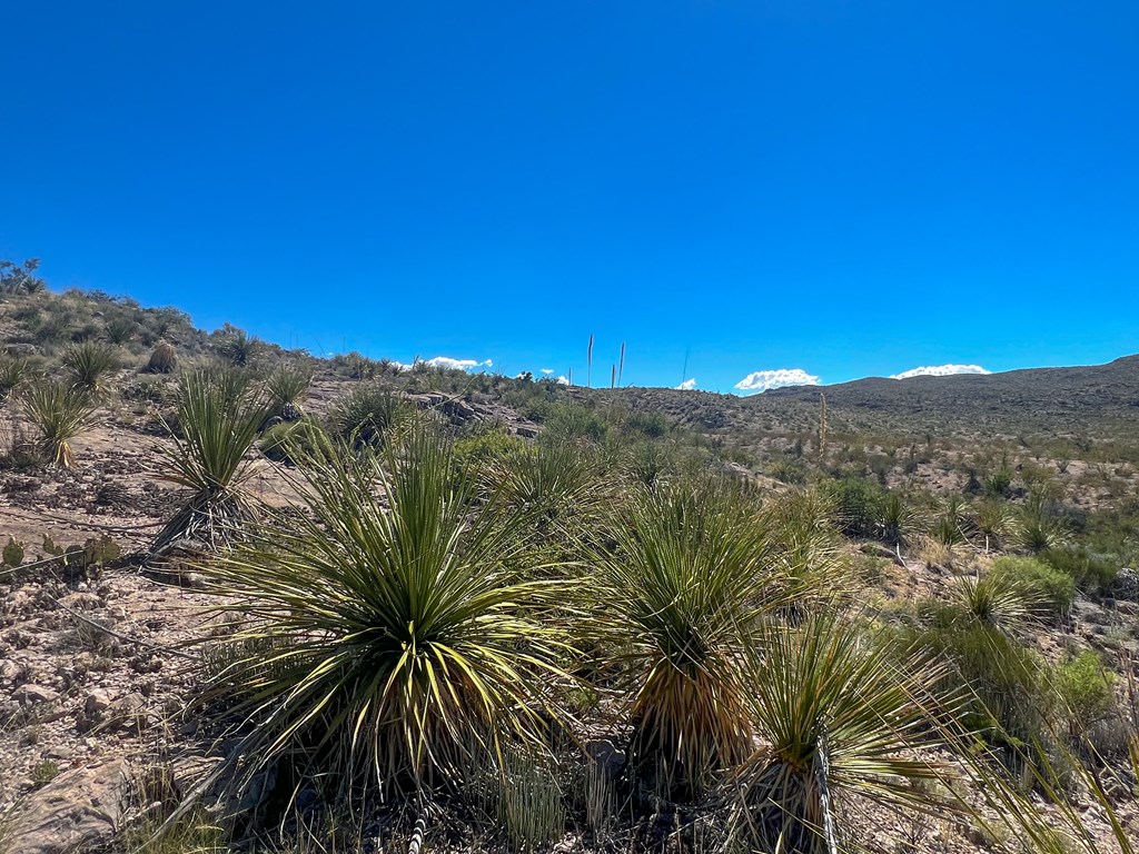 SEC 98 Pepper Rd, Terlingua, Texas image 15