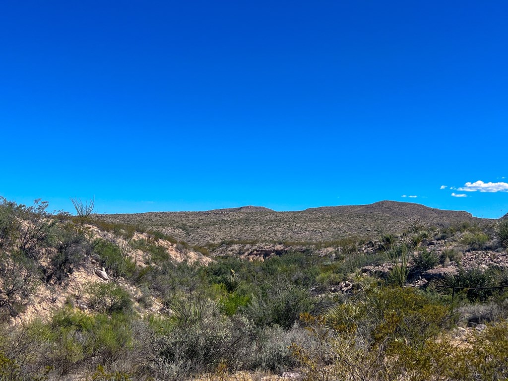 SEC 98 Pepper Rd, Terlingua, Texas image 38