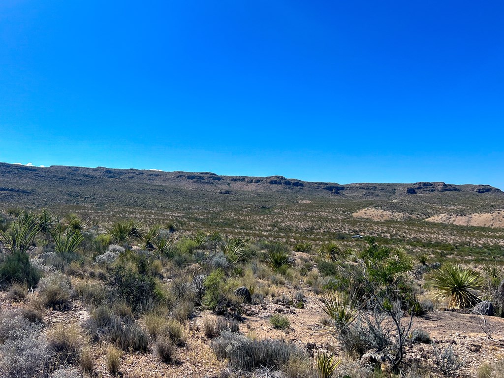 SEC 98 Pepper Rd, Terlingua, Texas image 25