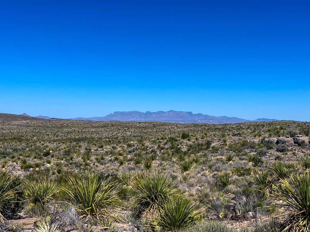 SEC 98 Pepper Rd, Terlingua, Texas image 22