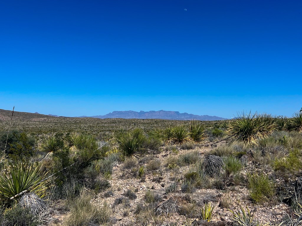 SEC 98 Pepper Rd, Terlingua, Texas image 30