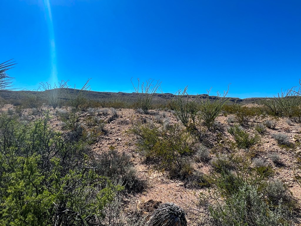 SEC 98 Pepper Rd, Terlingua, Texas image 33