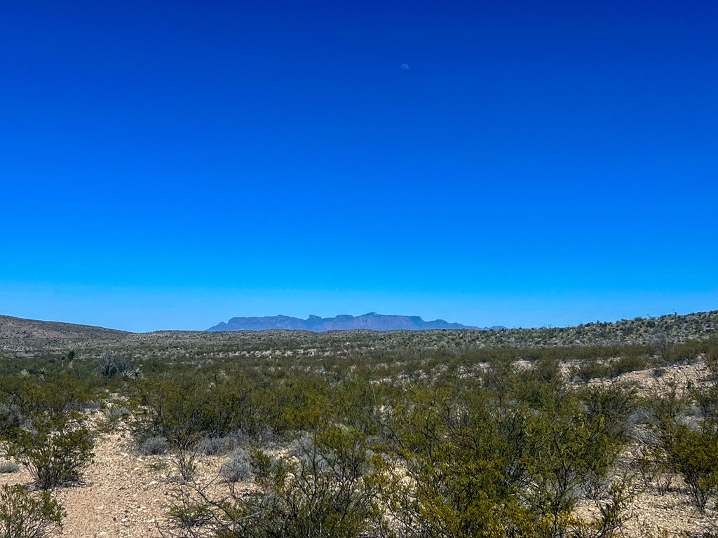 SEC 98 Pepper Rd, Terlingua, Texas image 12