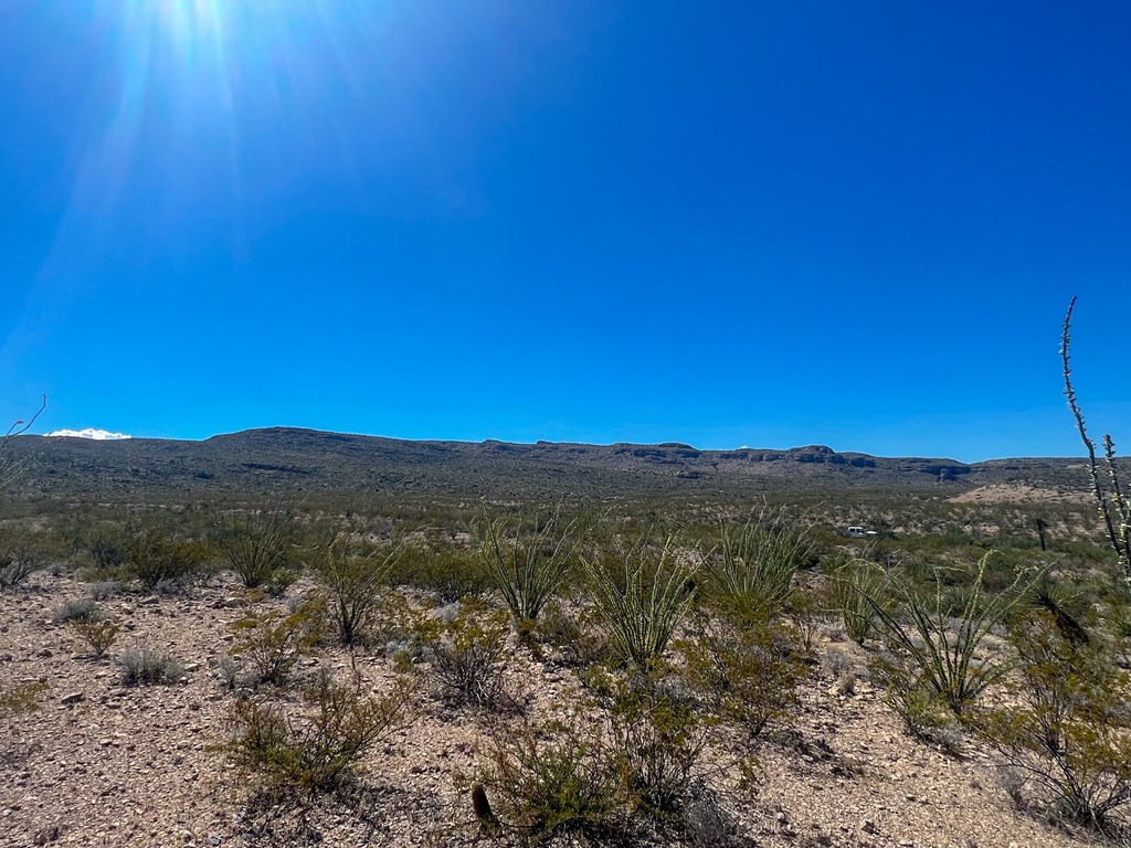 SEC 98 Pepper Rd, Terlingua, Texas image 13