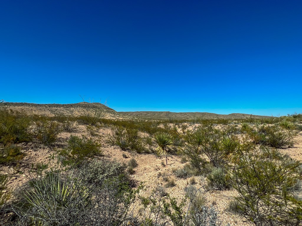 SEC 98 Pepper Rd, Terlingua, Texas image 34